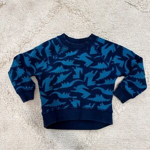 Hanna Andersson Blue Dinosaur Kids Sweatshirt
